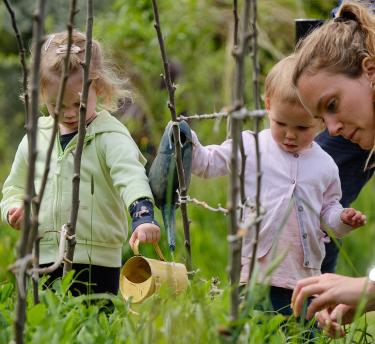 Woman with toddlers watering sapling trees